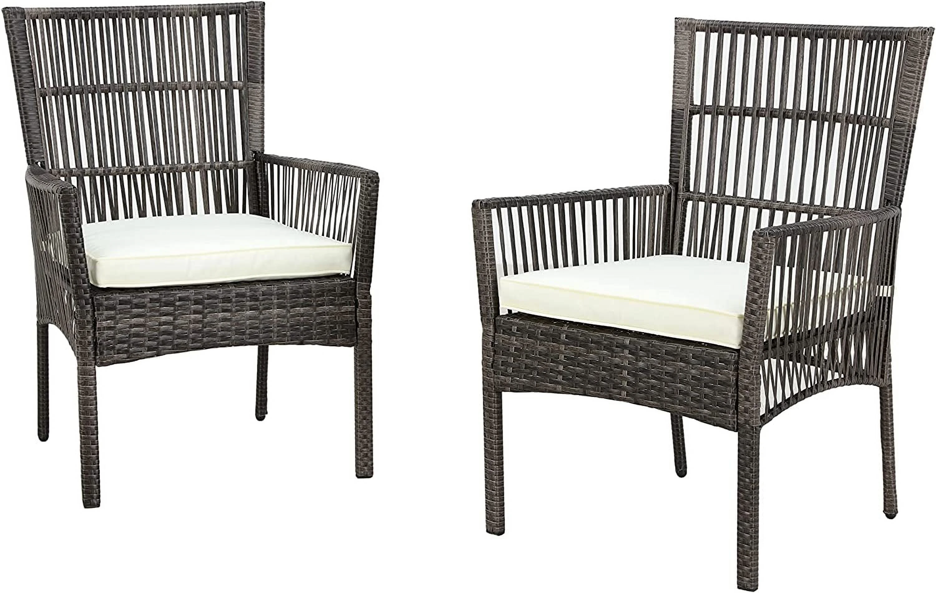 SJOIKLM 2 Pieces Outdoor Wicker Chair Metal Dining Armchairs with Cushion  Beige