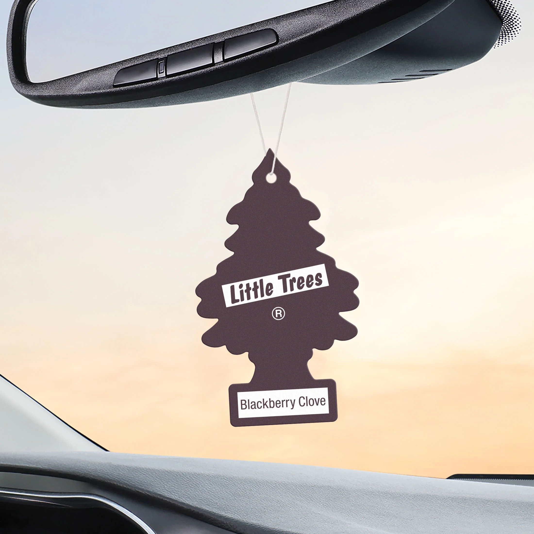Little Trees Auto Air Freshener, Hanging Card, Blackberry Clove Fragrance 3-Pack