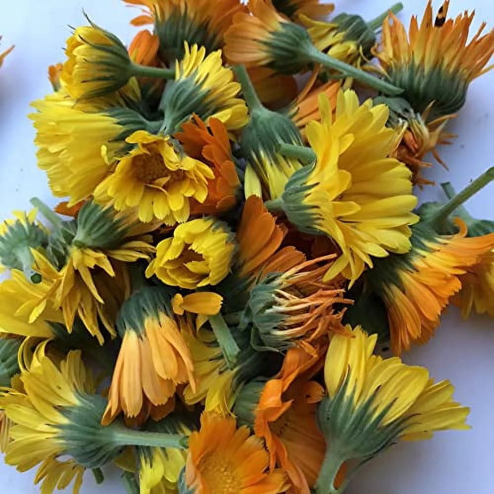 Calendula Seeds (Calendula officinalis) 100 Seeds (1 Grams)