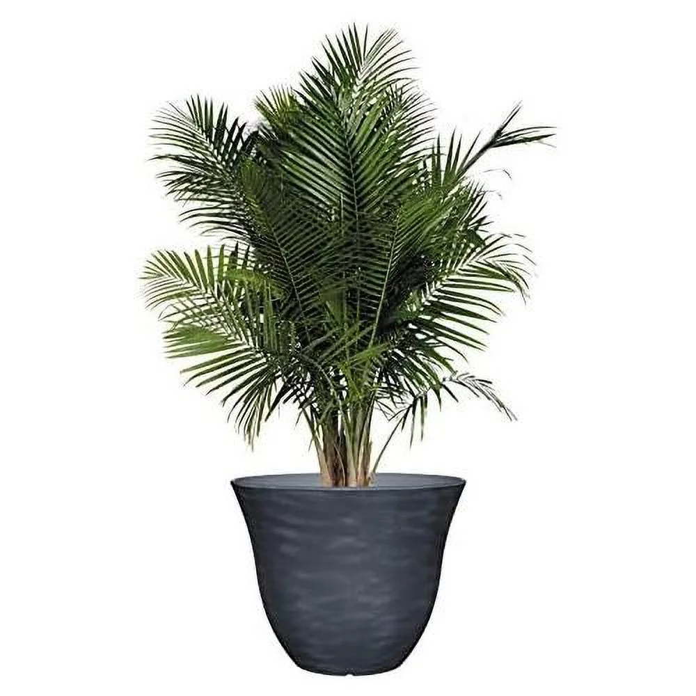 honeysuckle resin flower planter, zinc grey, 15