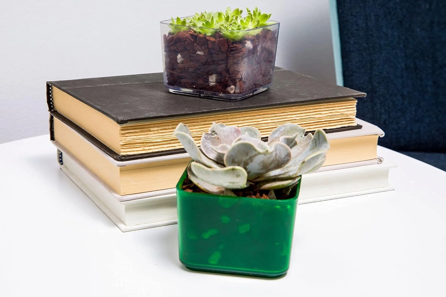 Succulent Pots, 3 Inch Small Succulent Pots - 6 Pack ()