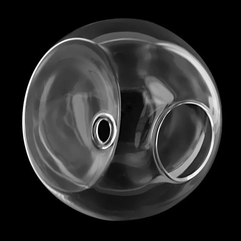 hirigin Wall-Mounted Glass Flower Pot Transparent Globe Shape Hanging Vase Planter