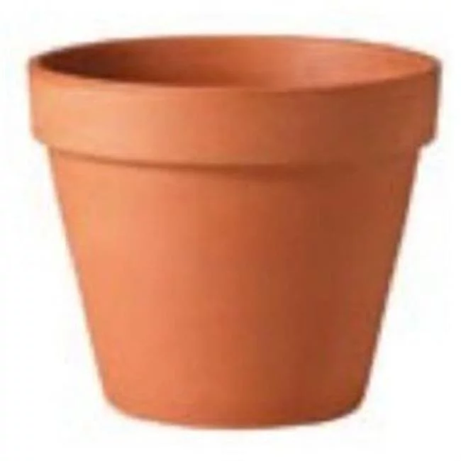 Deroma  18.1 x 15 in. Tall Terra Cotta Standard Pot - Pack of 20