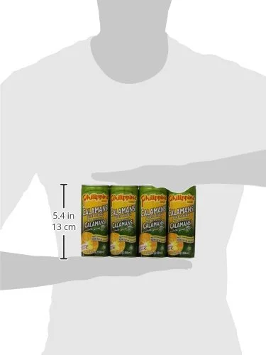 Philippine Juice Drink Calamans, 8.4-Ounce (Pack of 12)