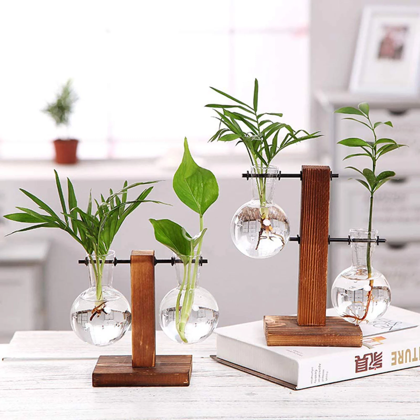 Desktop Glass Planter Bulb Vase Retro Solid Wooden Stand Hydroponics Wall Flower Pot Garden Pot Mover with Adjustable Handle Variety Pack Resin Flower Pot Indoor Flower Pot Stand *3PCS