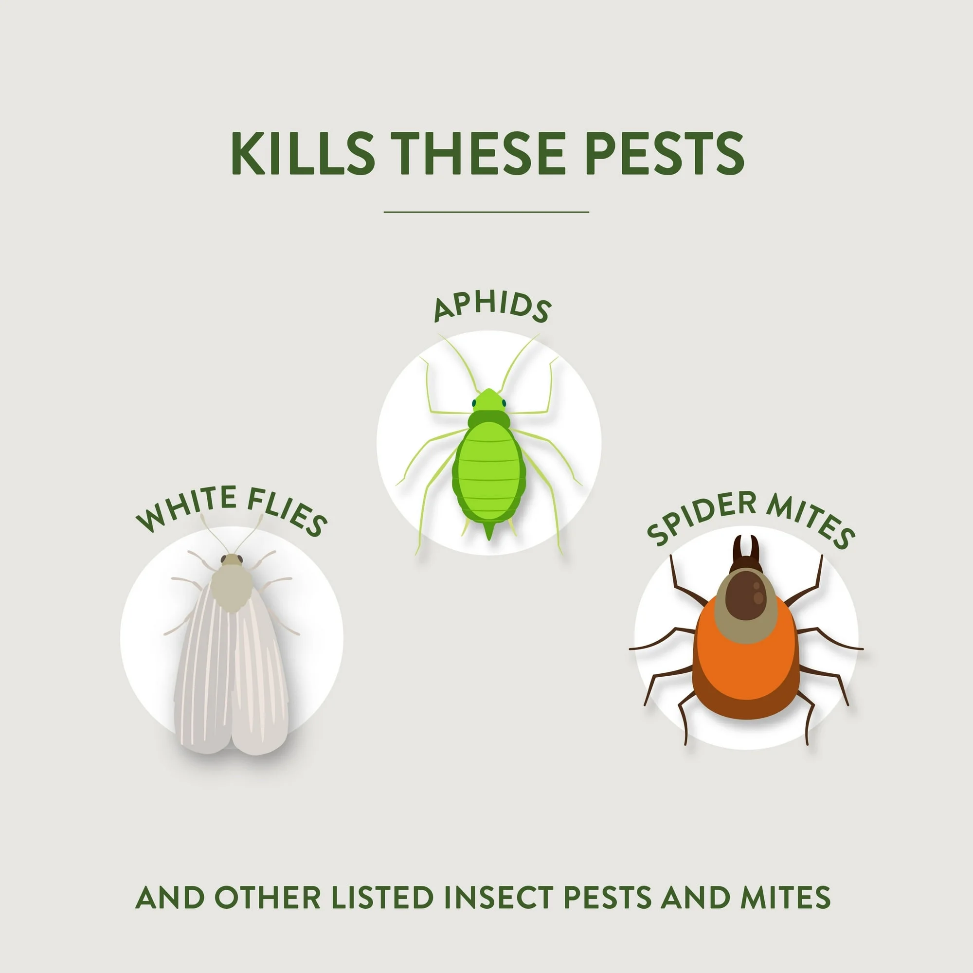 Garden Safe Fungicide 3 Concentrater, 28 oz, Controls Fungus & Insects ( 2 Packs )