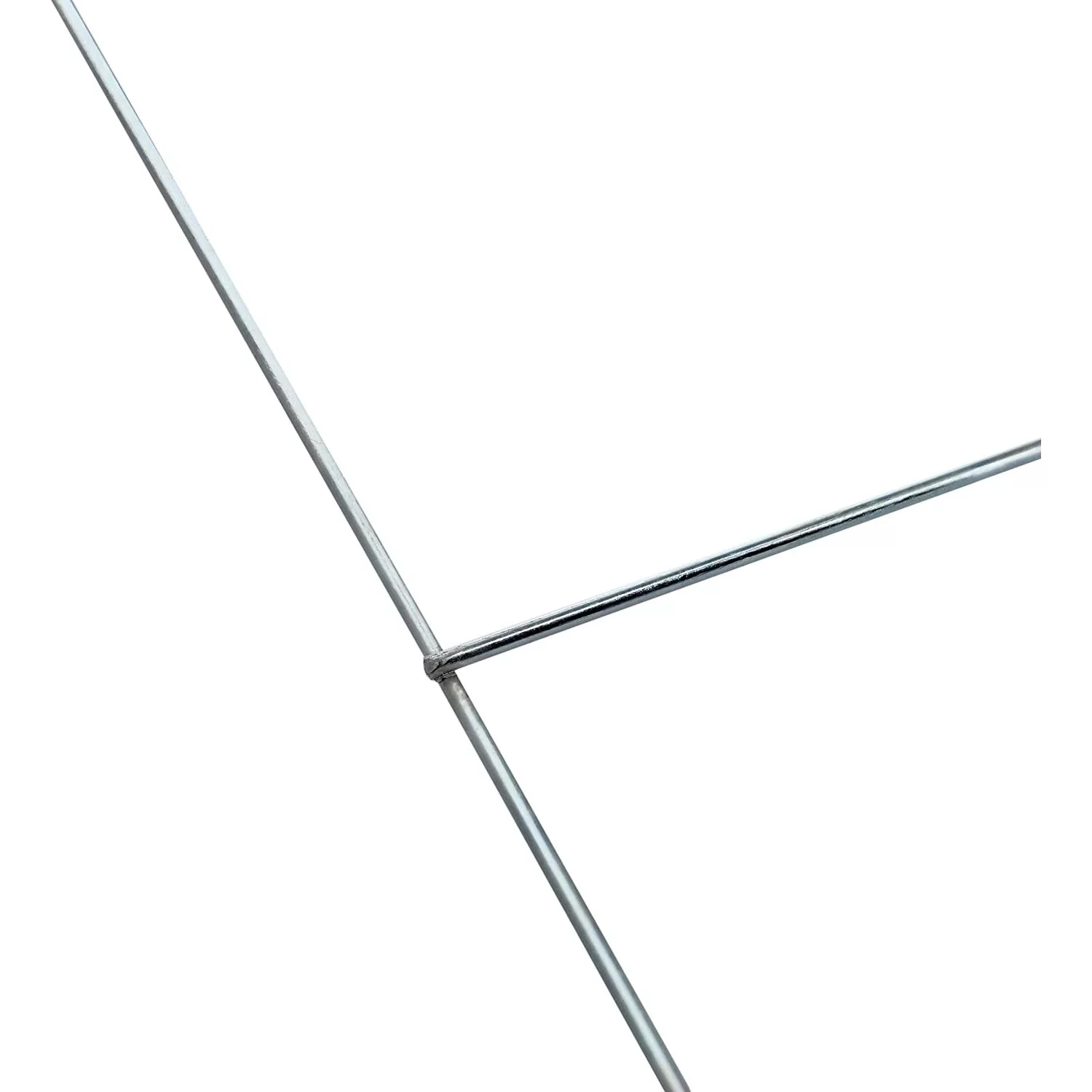 LPFEP Black Oil Sunflower PP Seed, 20-Pound Bag