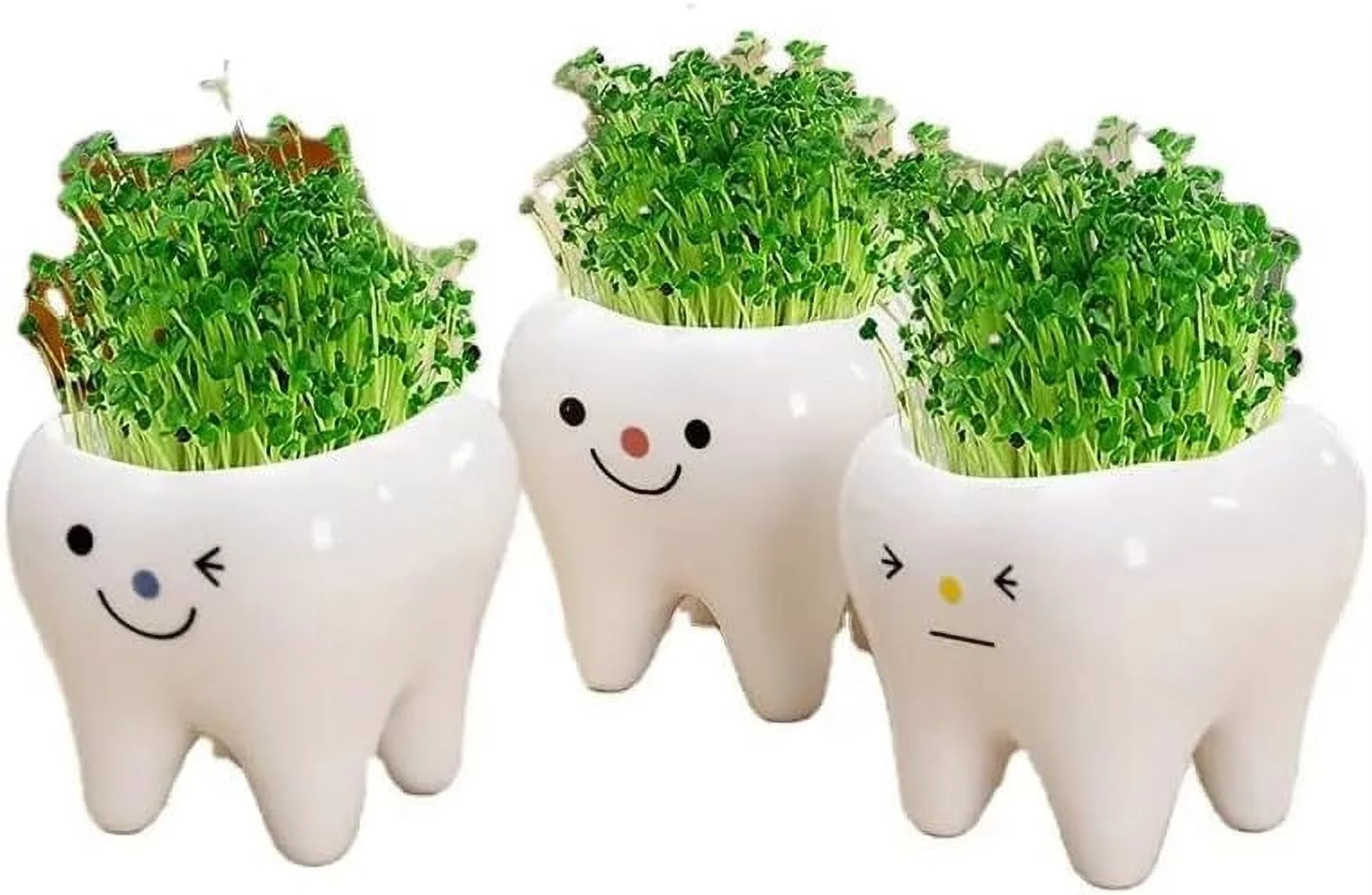1 | 3 Inch | Small Succulent Ceramic Teeth , Cute Home And Office Decor (All 3 Teeth s)