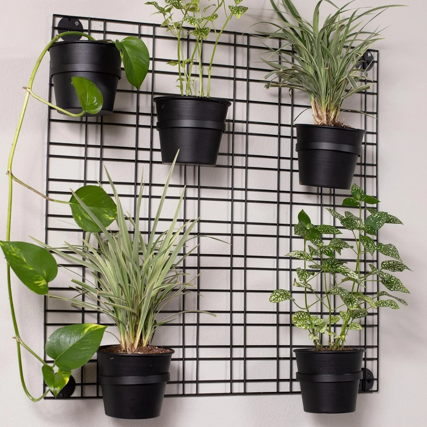 HOME 6 Pot Wall Plant Hanger Grid | Flower or Succulent Planter Holder | Wall Mounted | Indoor or Outdoor Plant Organizer Rack - Black
