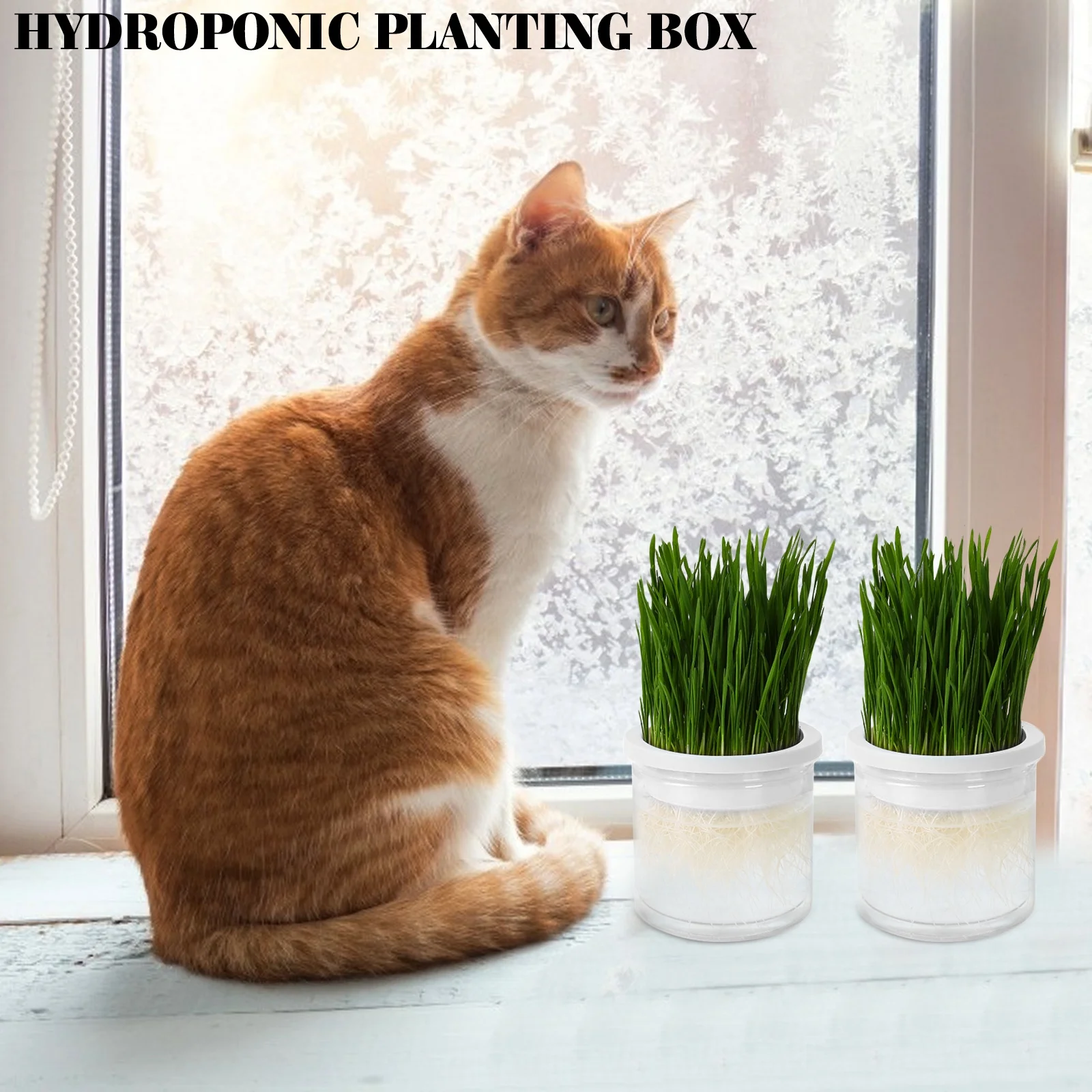 Cat Grass Box Hydroponic Planting Soilless Planter Catnip Plants Live Pot Pet White Plastic