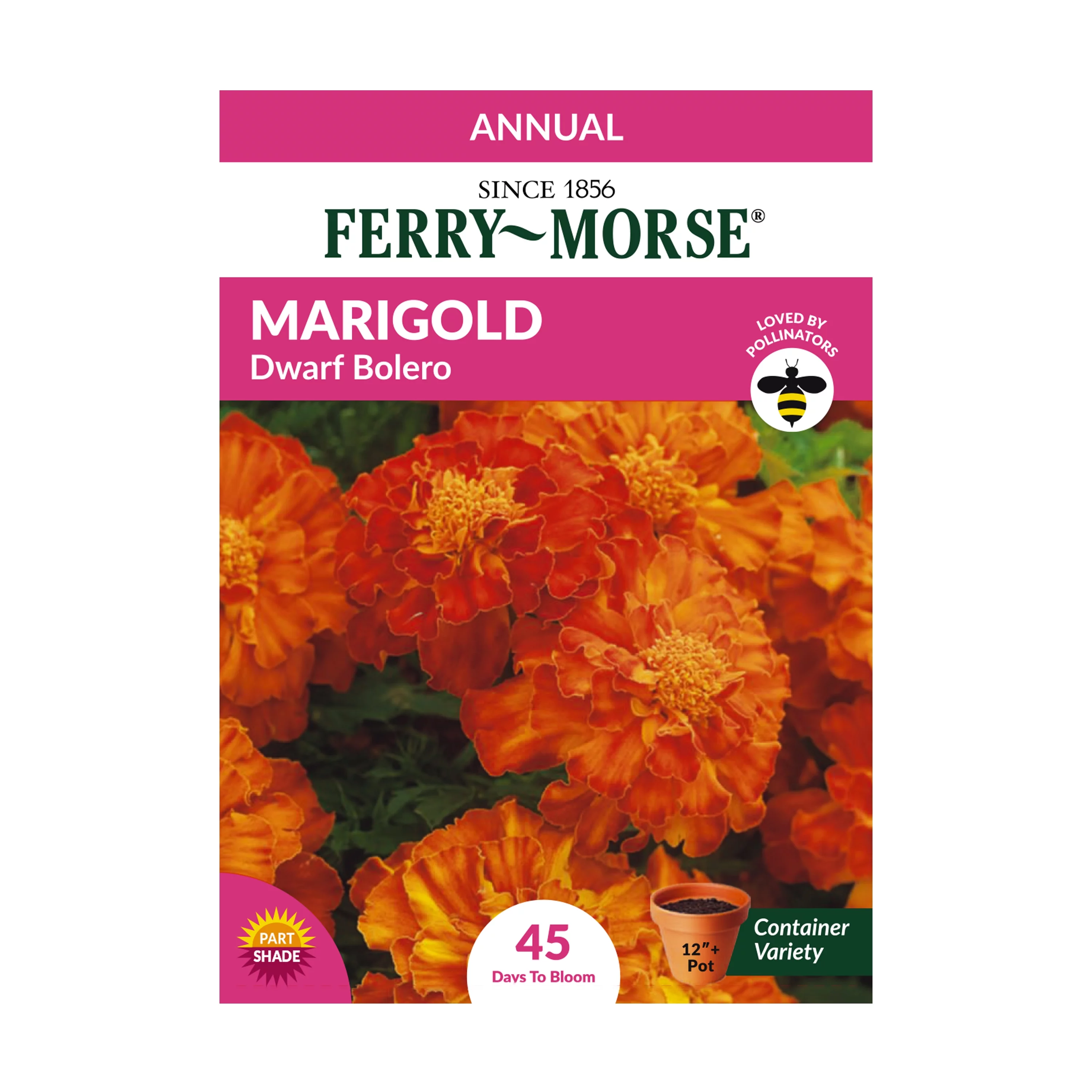 Ferry-Morse 1G Marigold Bolero Dwarf Annual Flower Seeds Full Sun