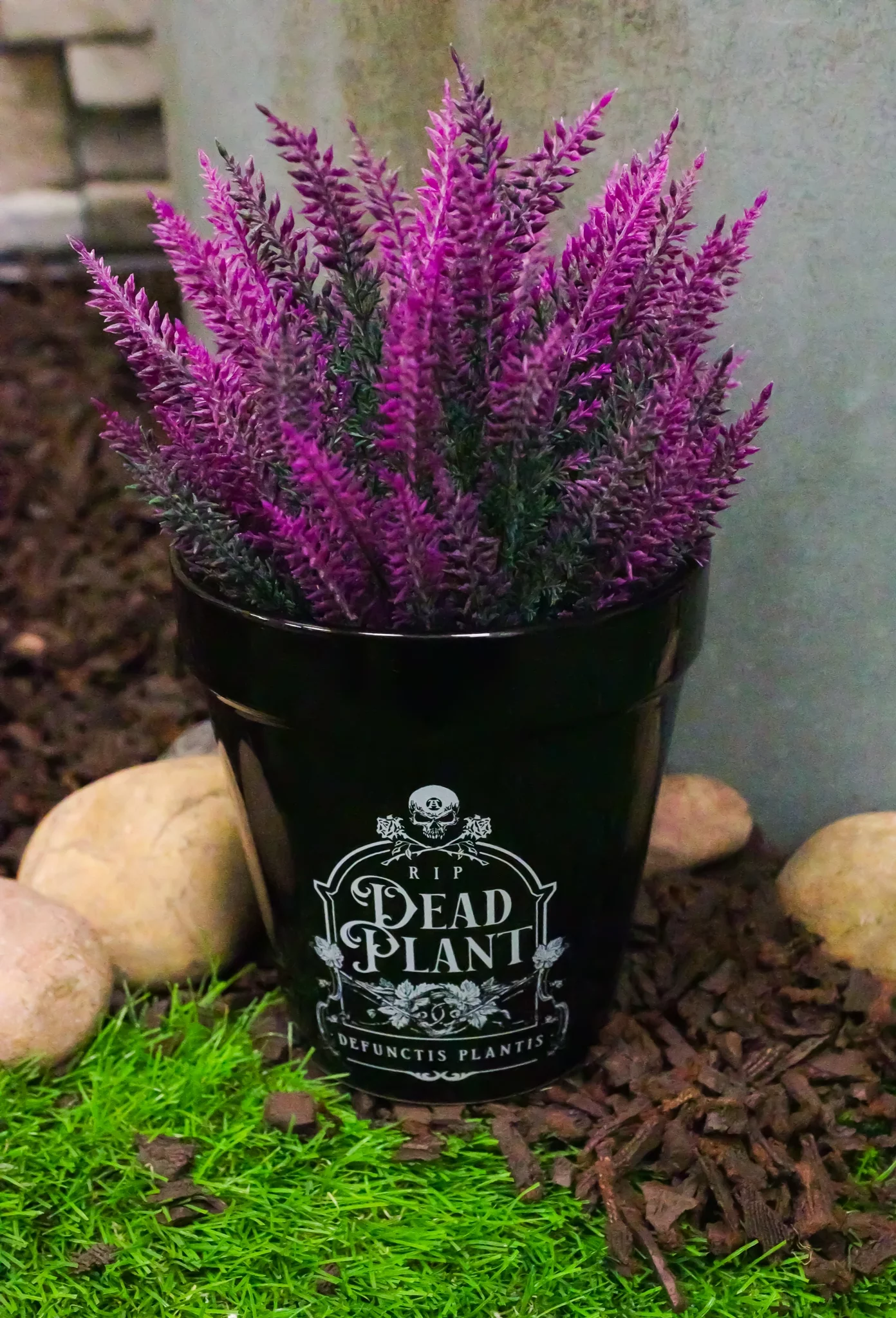 Dead Plant RIP Skull Grave Tombstone Wicca Witch Flower Herbs Planter Pot