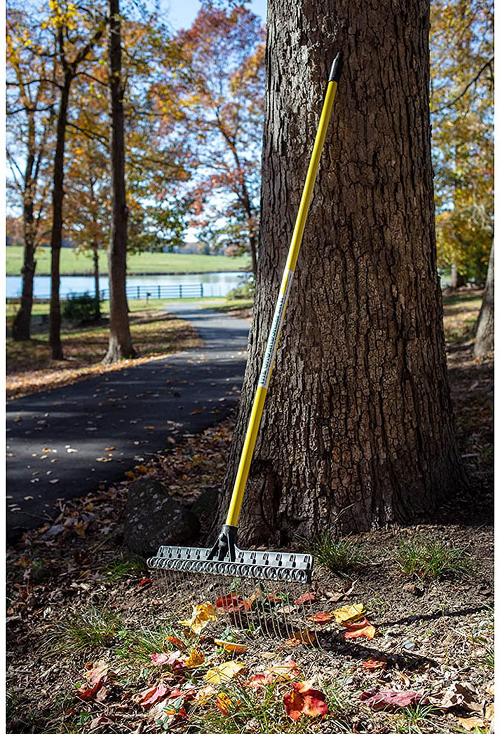 Rake 55-inch Lightweight Fiberglass Handle, 21-inch Head, Durable Steel Tines for Gardening, De-Thatching or Professional Landscaping