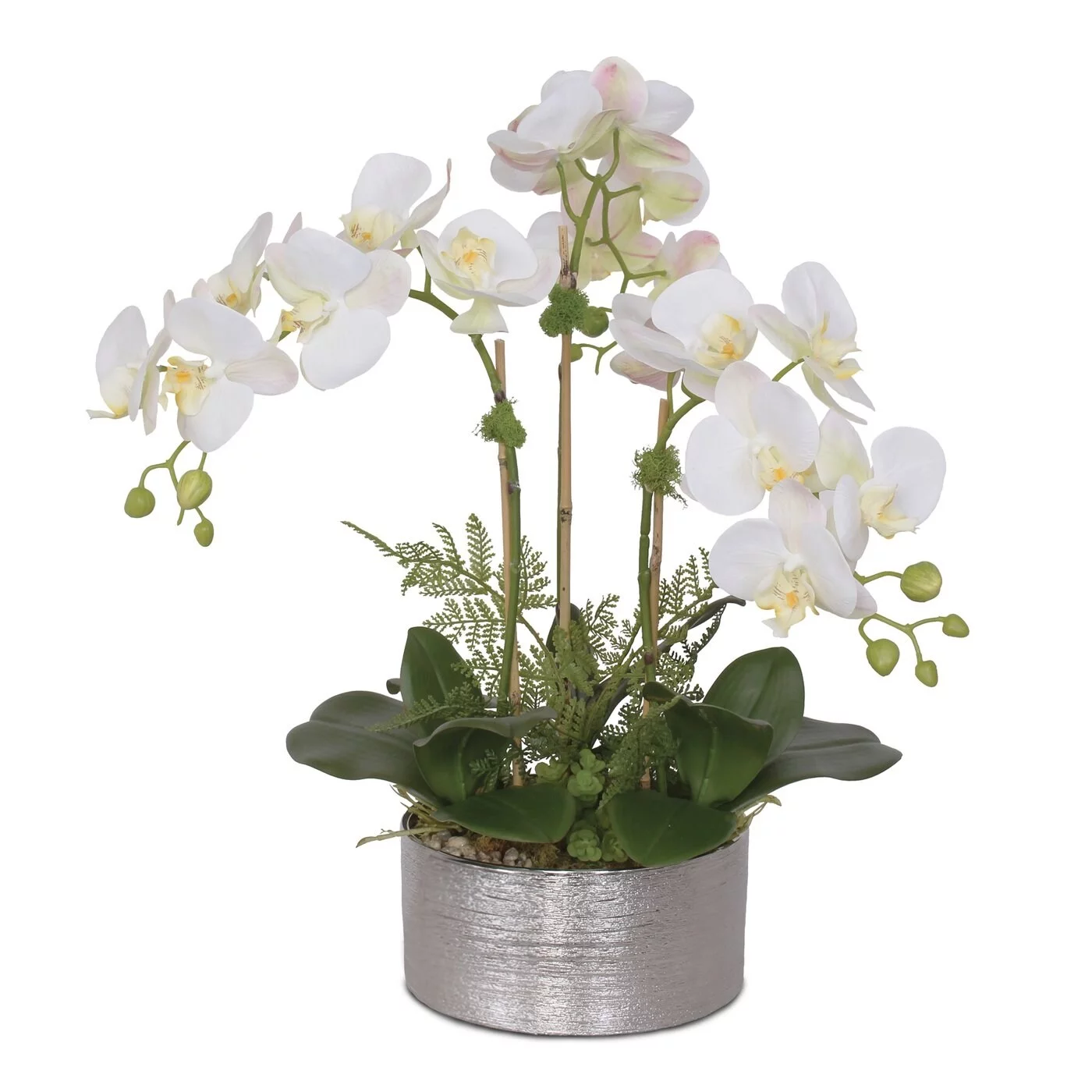 F-119 Real Touch White, Pink Green Orchid Arrangement in Round Silver Ceramic Pot - 18W x 18D x 18H