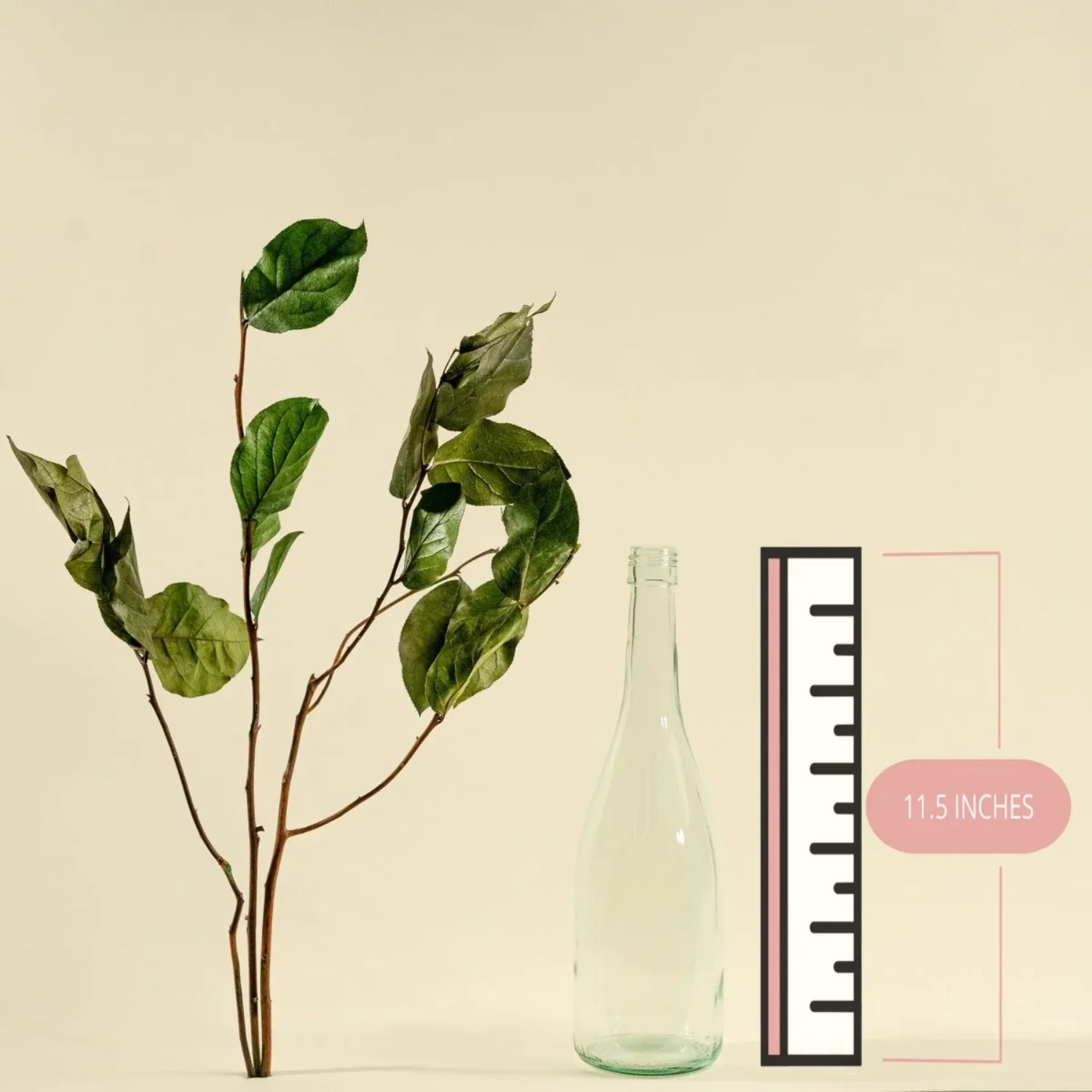 Raw Sola Wood Flowers - Centerpiece/Vase/Pot/Bouquet Fillers - -Salal Green (Preserved)