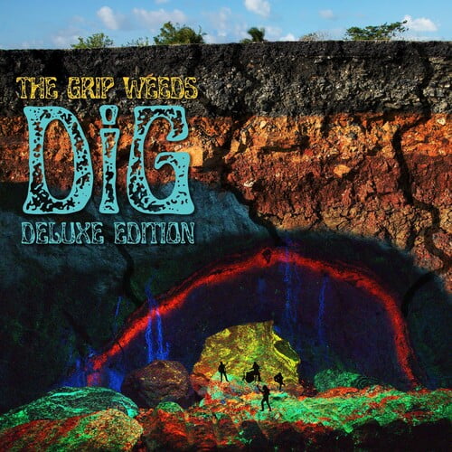 The Grip Weeds - Dig - Rock - Vinyl