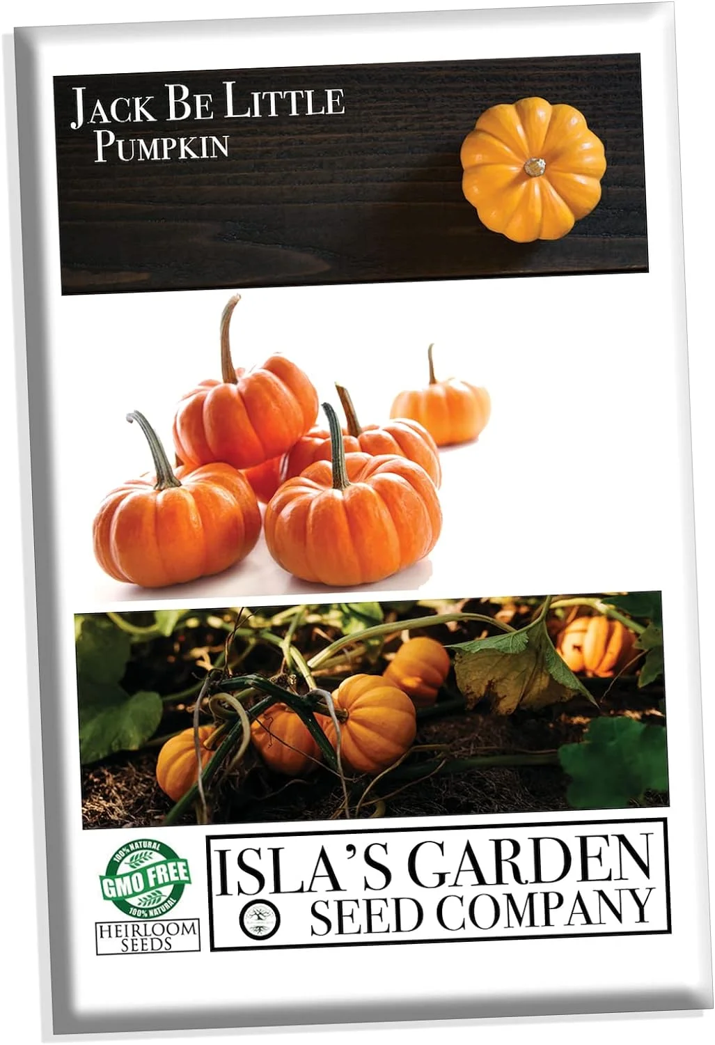 Jack Be Little Pumpkin Seeds, 10 Heirloom Seeds Per Packet, Non GMO Seeds, Isla's Garden Seeds