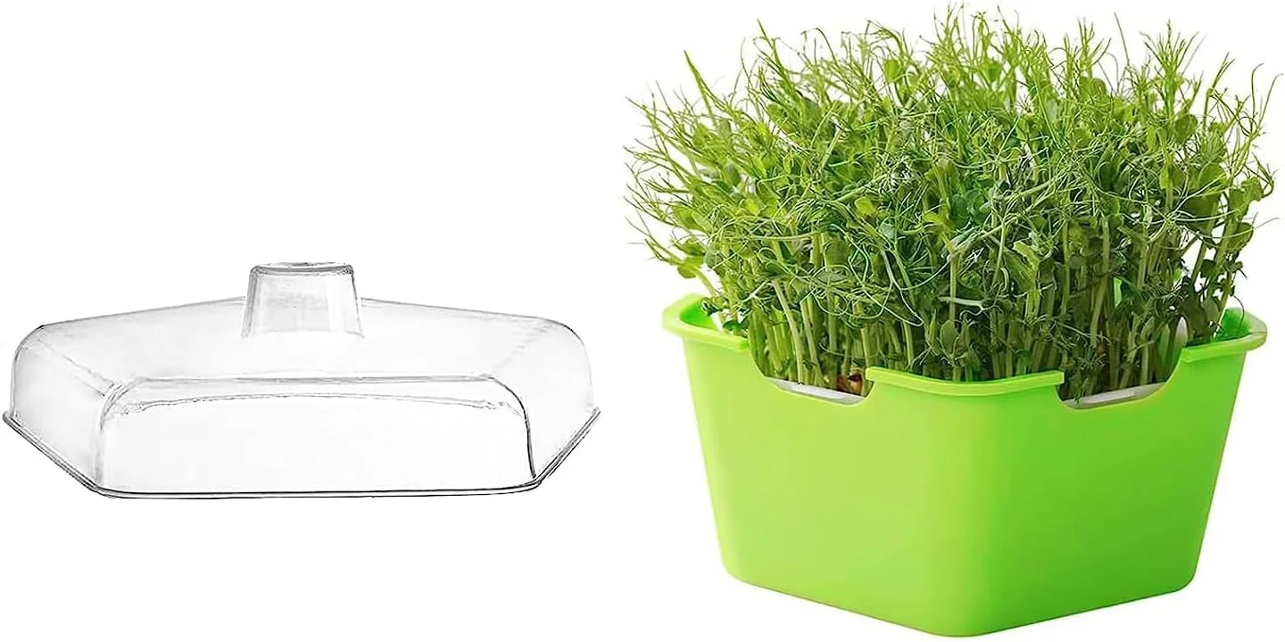 YHRY Seed Sprouter Tray with Cover, Plastic Seed Germination Tray, Plastic Germination Tray, Soil Free, Non Toxic, BPA Free, Making Your Seeds Has High Budding, for Kitchen Garden Home Office