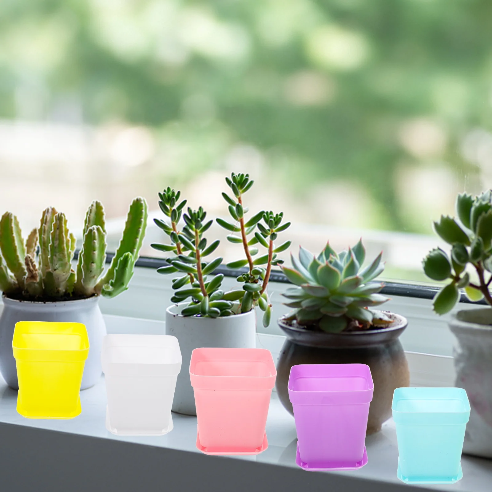 Plastic Nursery Pot 60 Set Flower Pots Home Succulent Plant Garden Flowerpots Seedling Cups Square Pp Resin