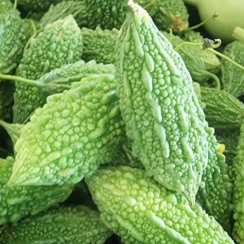 QAUZUY GARDEN 25 Bitter Gourd Melon - Momordica Charantia Seeds for Planting, No Filler Organic Non-GMO Heirloom Asian Vegetable Seeds, Easy to Harvest