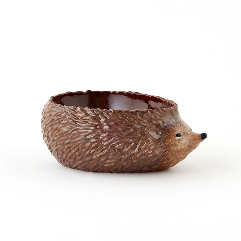 Hedgehog Planter