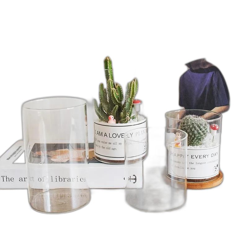 Glass Flower Pot Meat Can Bring Holes Transparent Hydroponic Plant Bottle Nordic Wind Office Desktop Decorative Flower Gangue Cylindrical