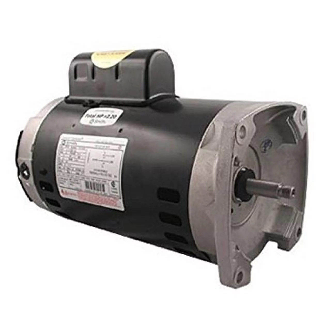 230V Square Flange Pump Motor