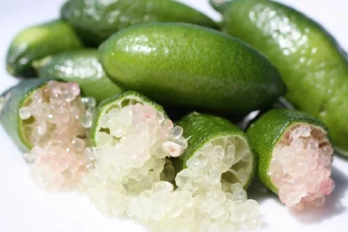 Finger Limes Citrus Caviar (80 Grams)