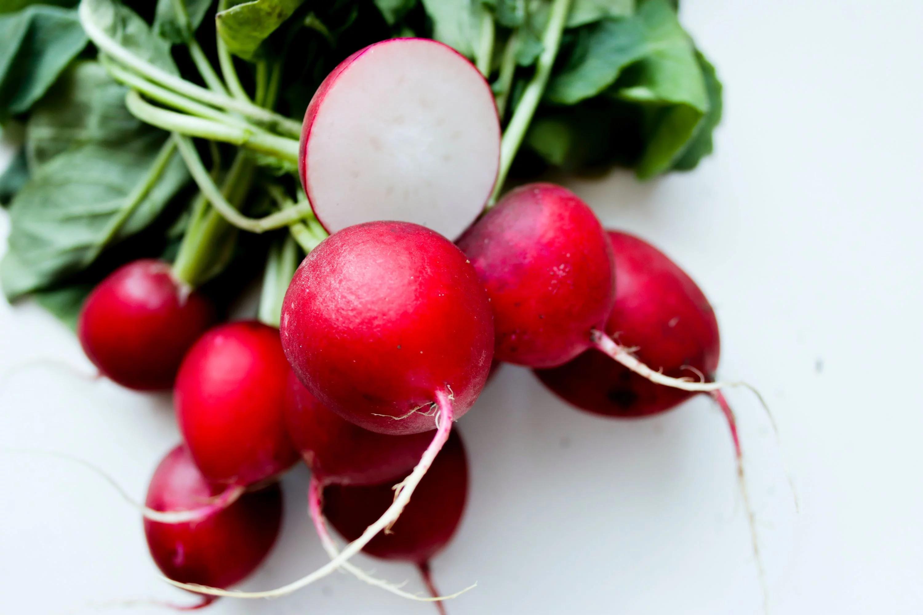 Early Scarlet Globe Radish Seeds/ Annual/ Full Sun/ 44K Seeds 1lb/ Zellajake Farm and Garden - B119