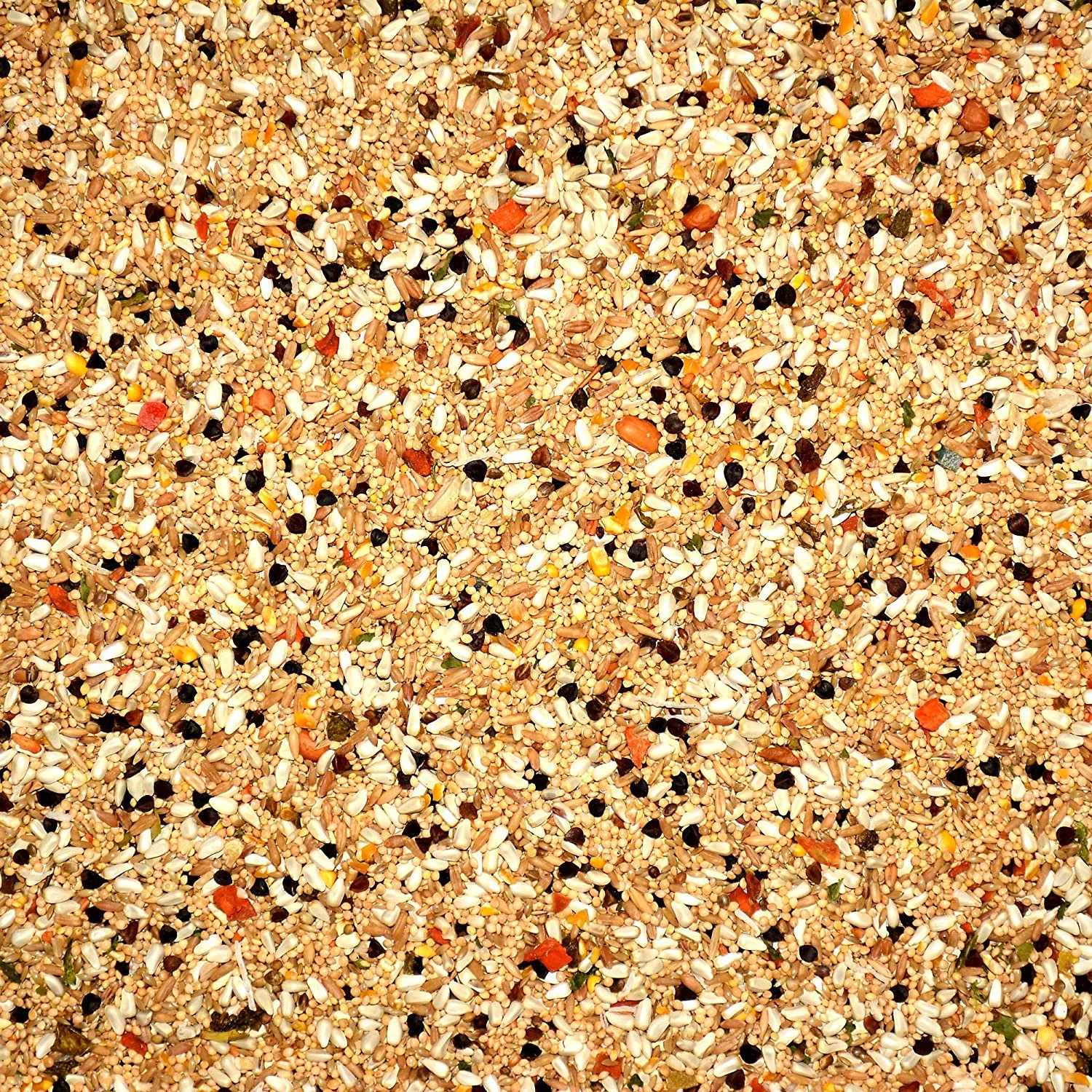 Volkman Avian Science Cockatiel No Sunflower Seeds 4-Pounds Resealable