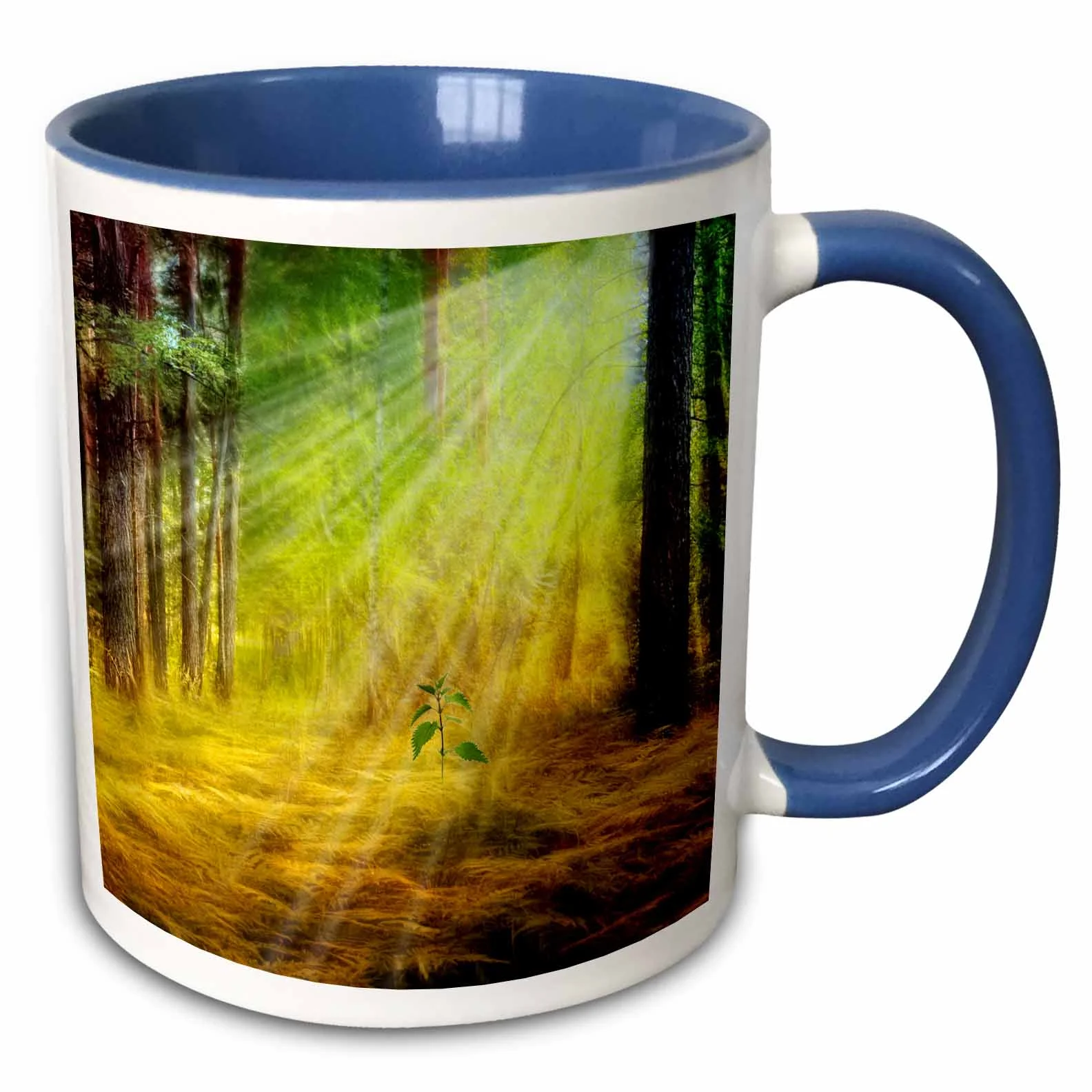 Sun Rays through the Forest Trees Birth a Sapling for Earth Day 11oz Two-Tone Blue Mug mug-202983-6