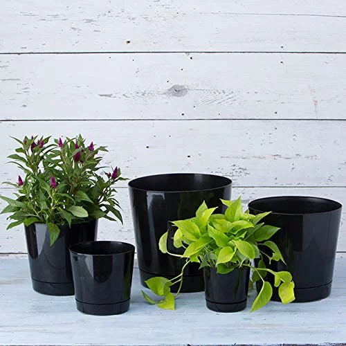 Novelty Full Depth Cylinder Plastic Pot, Black - 6 inch