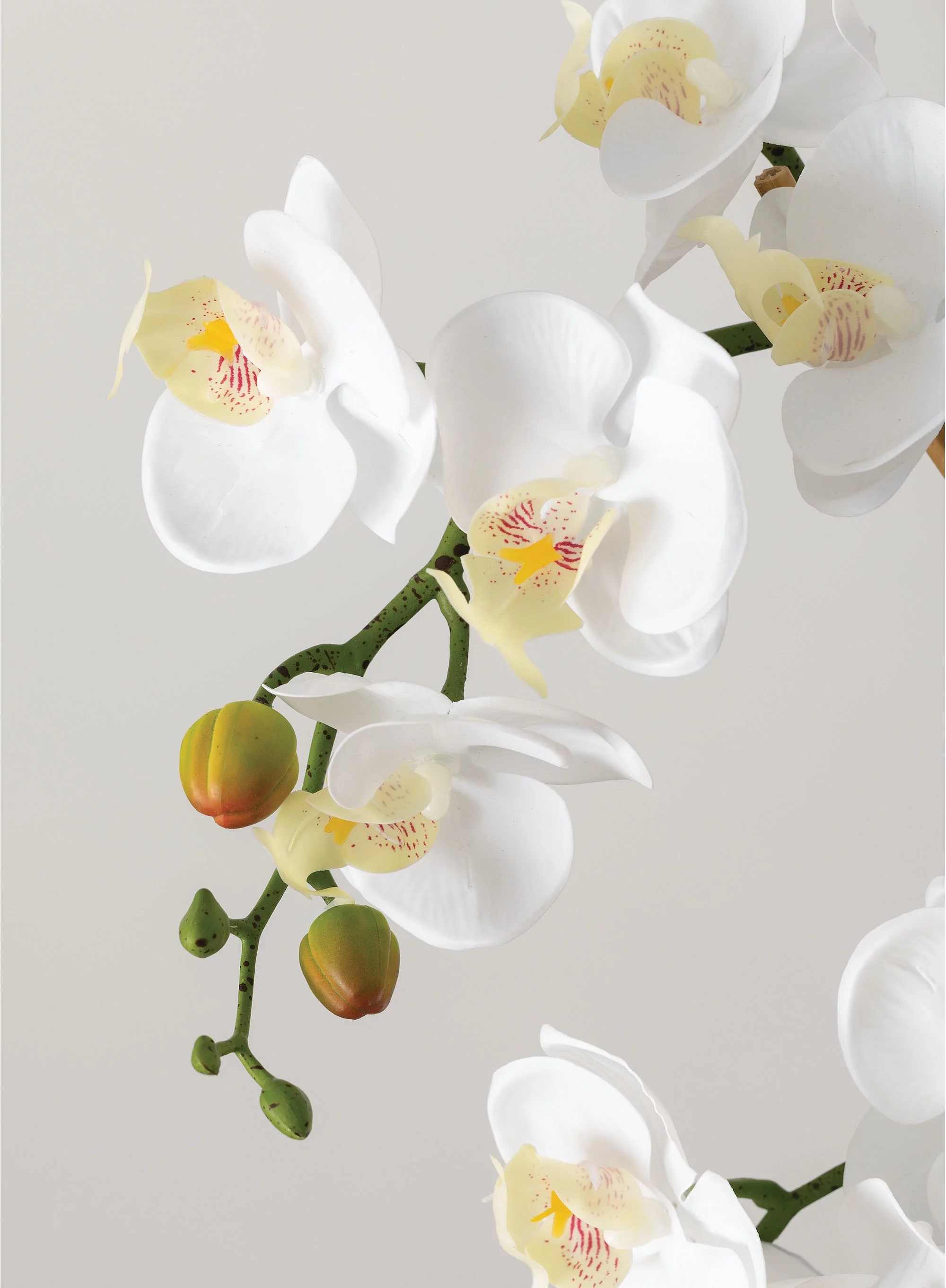 Sullivans Artificial Potted Orchid 24.5