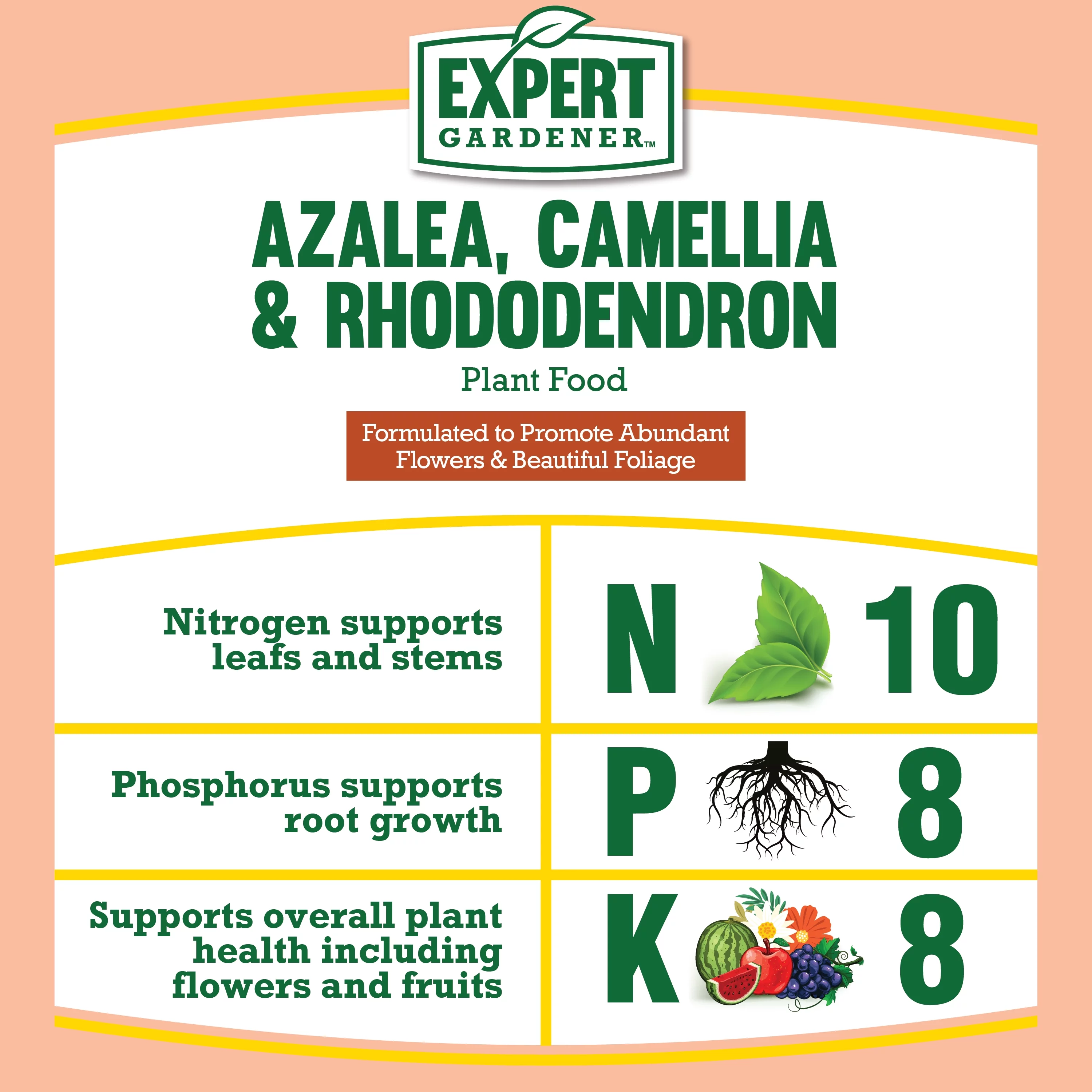 Expert Gardener Azalea, Camellia & Rhododendron Plant Food Fertilizer 10-8-8, 4 lb.