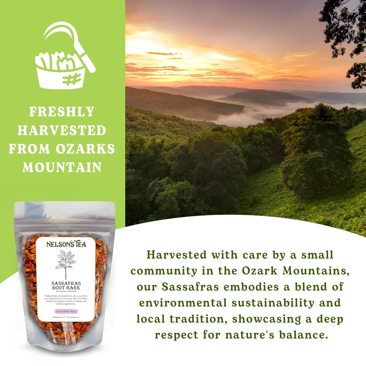 Sassafras Root (16 Oz) - Caffeine-Free Herbal  from