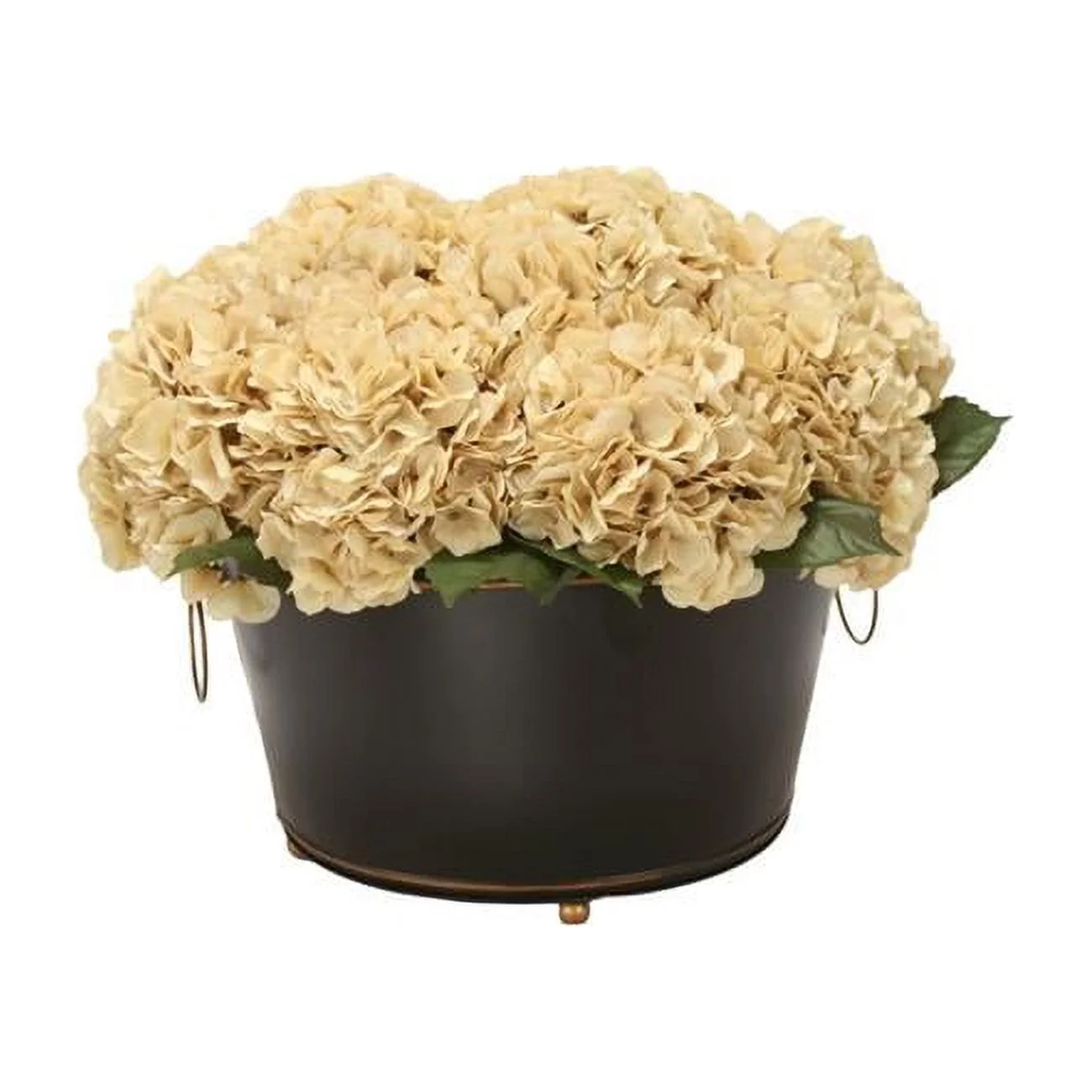 Unisex Beige Hydrangea in Black Oval Planter with Gold Trim - Neutral