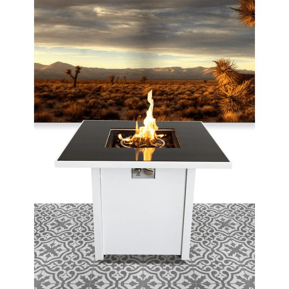 Living Source International 30 Inch White Steel Propane/natural Gas Firepit Table