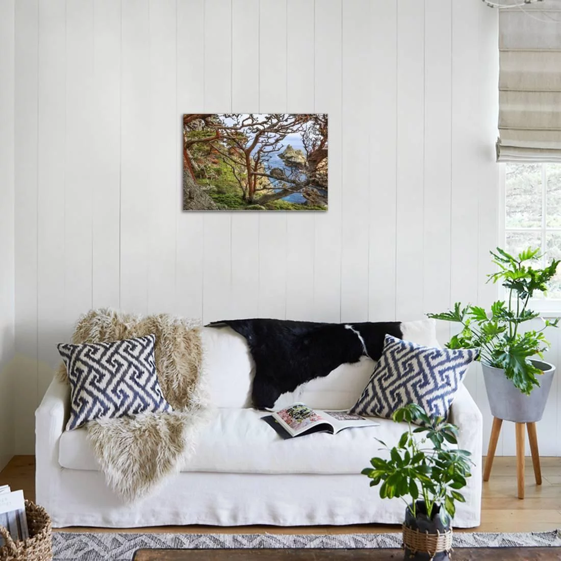 The Abstract And Twisted Lines Of Cypress Branches In Point Lobos State Reserve Near Monterey, CA, Stretched Canvas Wall Art by Jay Goodrich Sold by Art.Com