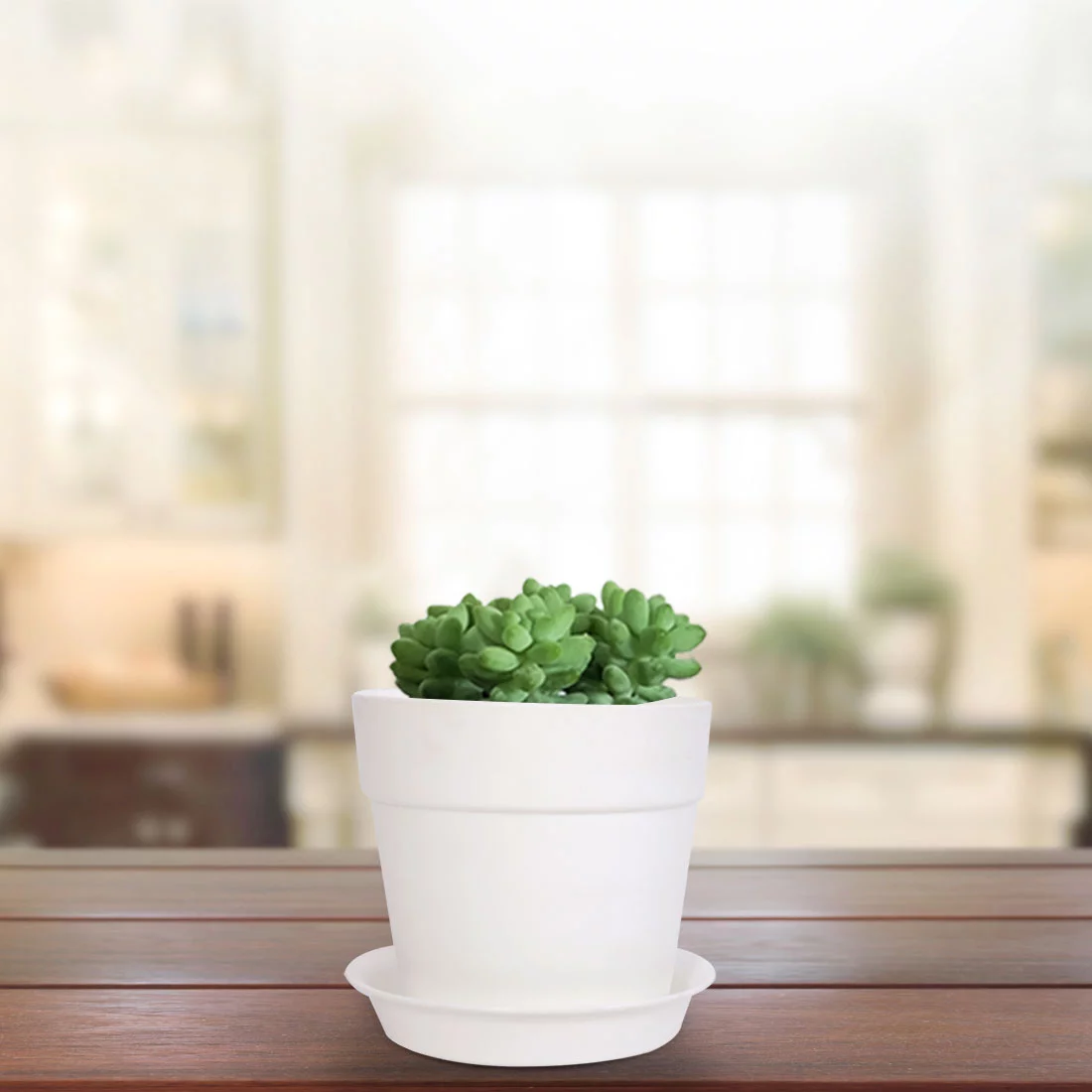 Home Balcony Plastic Round Design Flower Cactus Plant Holder Planter Pot White
