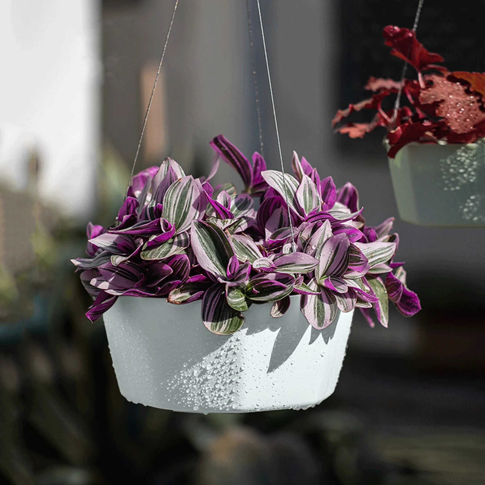 Pots Home Decor Flower Pots Self Absorbent Lazy Pot Hanging Basket Phalaenopsis Green And Succulent Garden Orchid Wall Hanging Pot