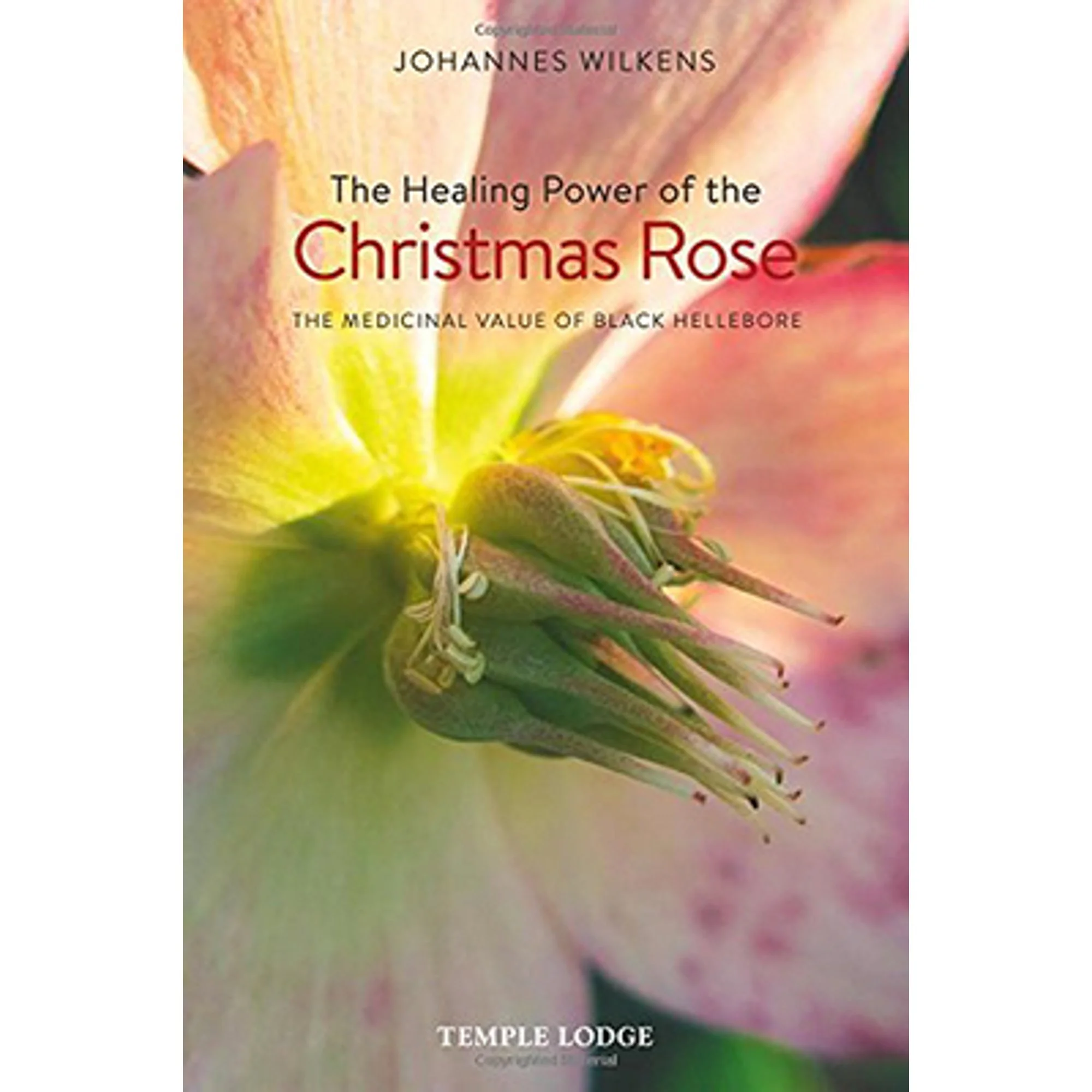 Pre-Owned The Healing Power of the Christmas Rose: The Medicinal Value of Black Hellebore (Paperback) by Johannes Wilkens, Matthew Barton