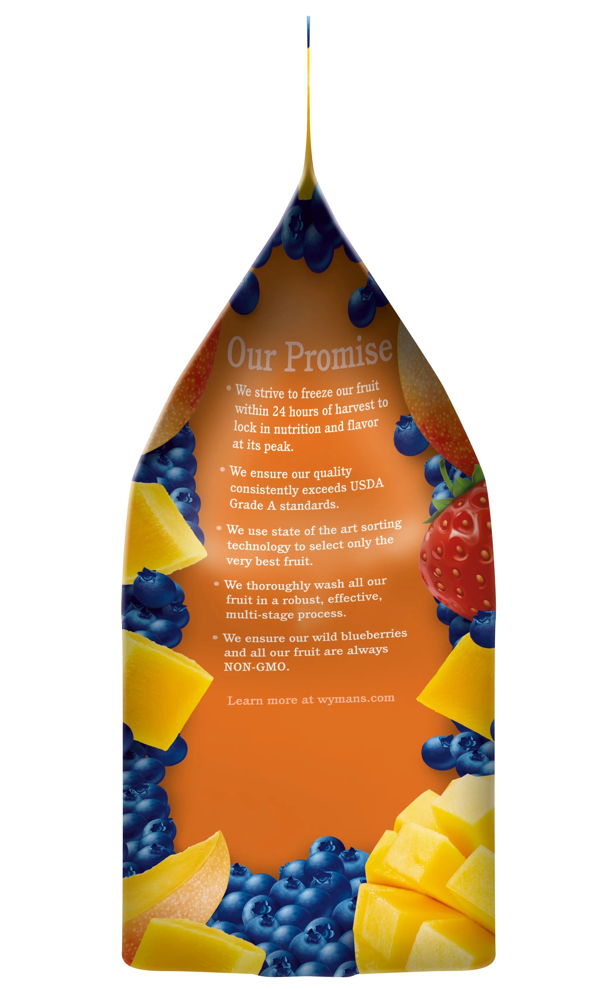 Wyman's Mango Berry, 1 - 48 oz Bag (Frozen)