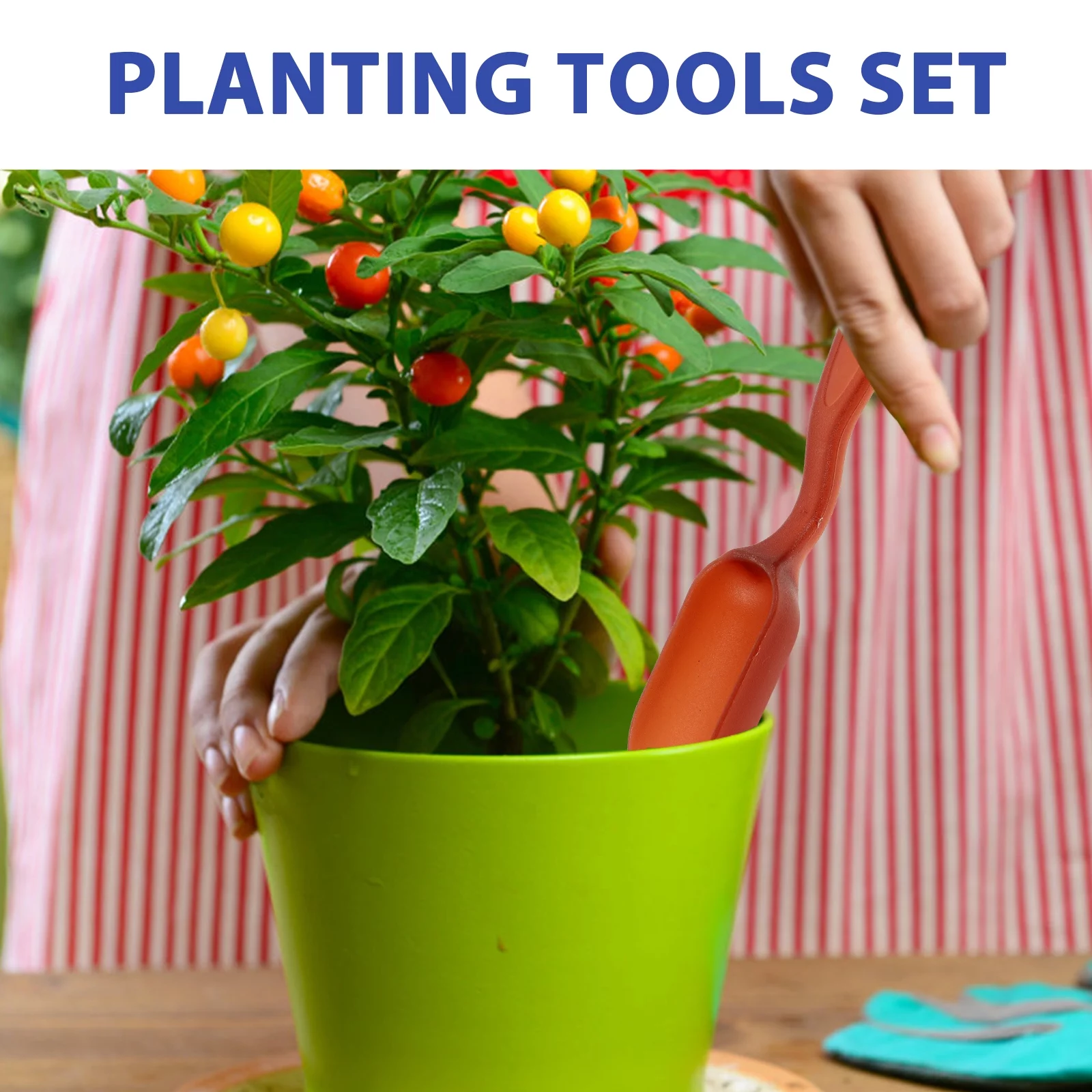 Gardening Gift Gifts Things Tools Tweezers Cactus Shovels Planting Vegetable Metal Juicy Wood Iron Child