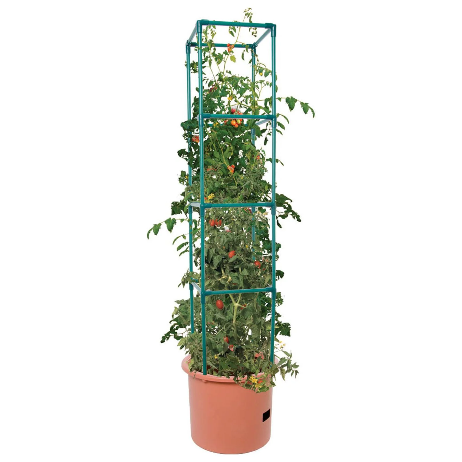 Hydrofarm Tomato Pot with 4 Foot Trellis Tower & GROW!T Coco Coir Mix Block