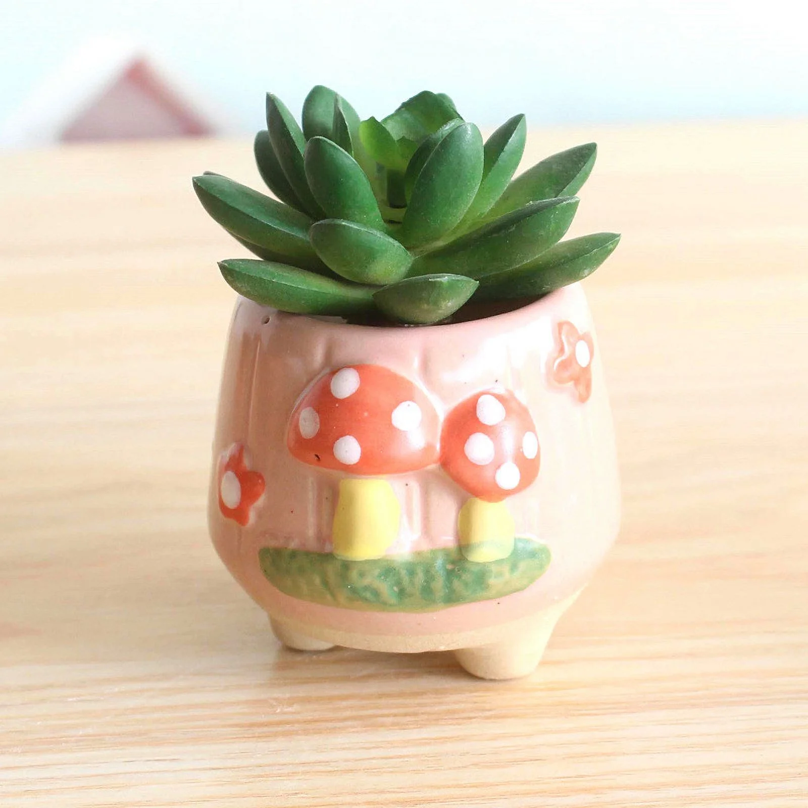 Ceramic Hand-painted Succulent Plant Pot, Thumb Pot, Small Succulent Flower Pot