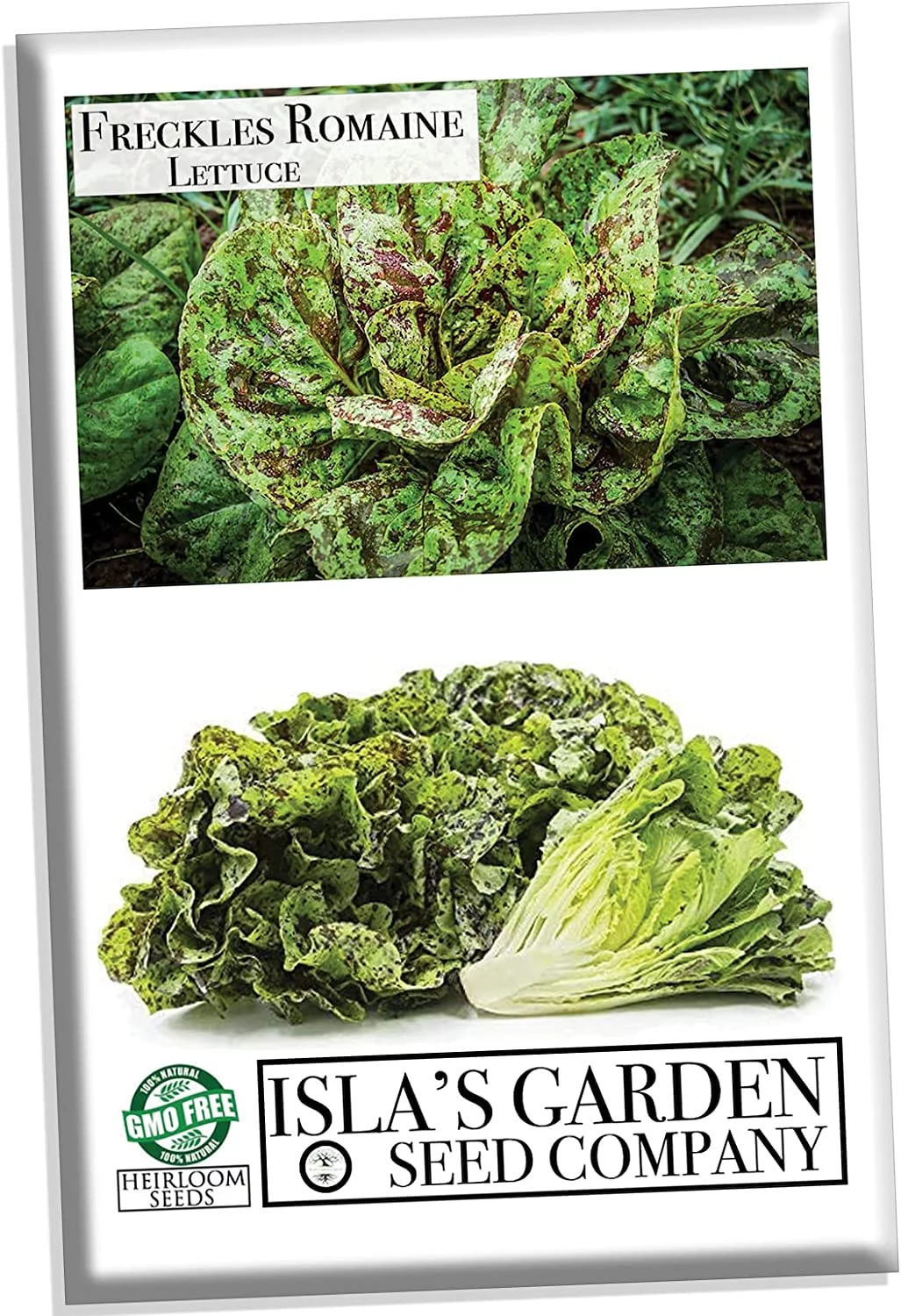 Freckles Romaine Lettuce Seeds, 1000 Heirloom Seeds Per Packet, Non GMO Seeds