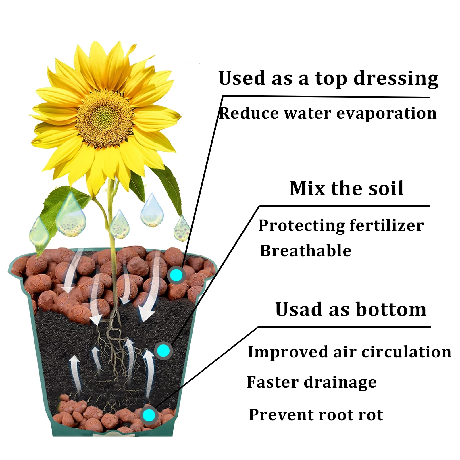 Hydroponic Clay Pebbles 4lbs 8mm -16mm Organic Expanded Plant Grow Media for Hydroponic Gardening, Orchids, Drainage, Decoration, Succulents