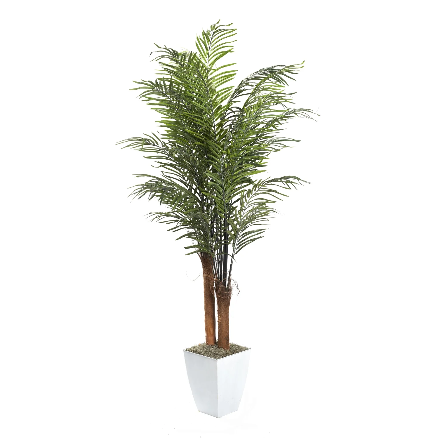 D&W Silks 8' Areca Palm in White Square Metal Planter