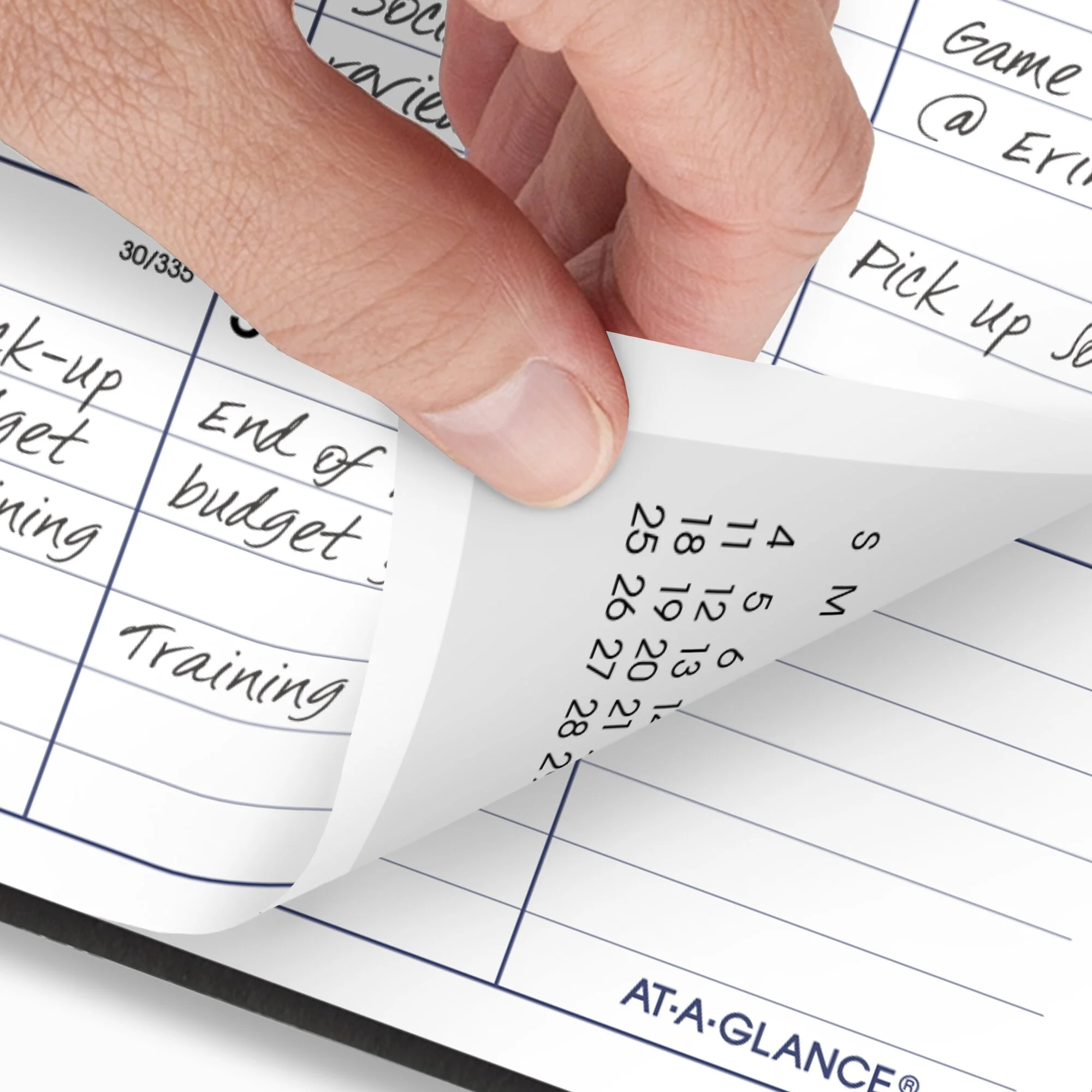 AT-A-GLANCE DayMinder 2025 Monthly Planner Black Large 8 x 12 - Monthly Planners