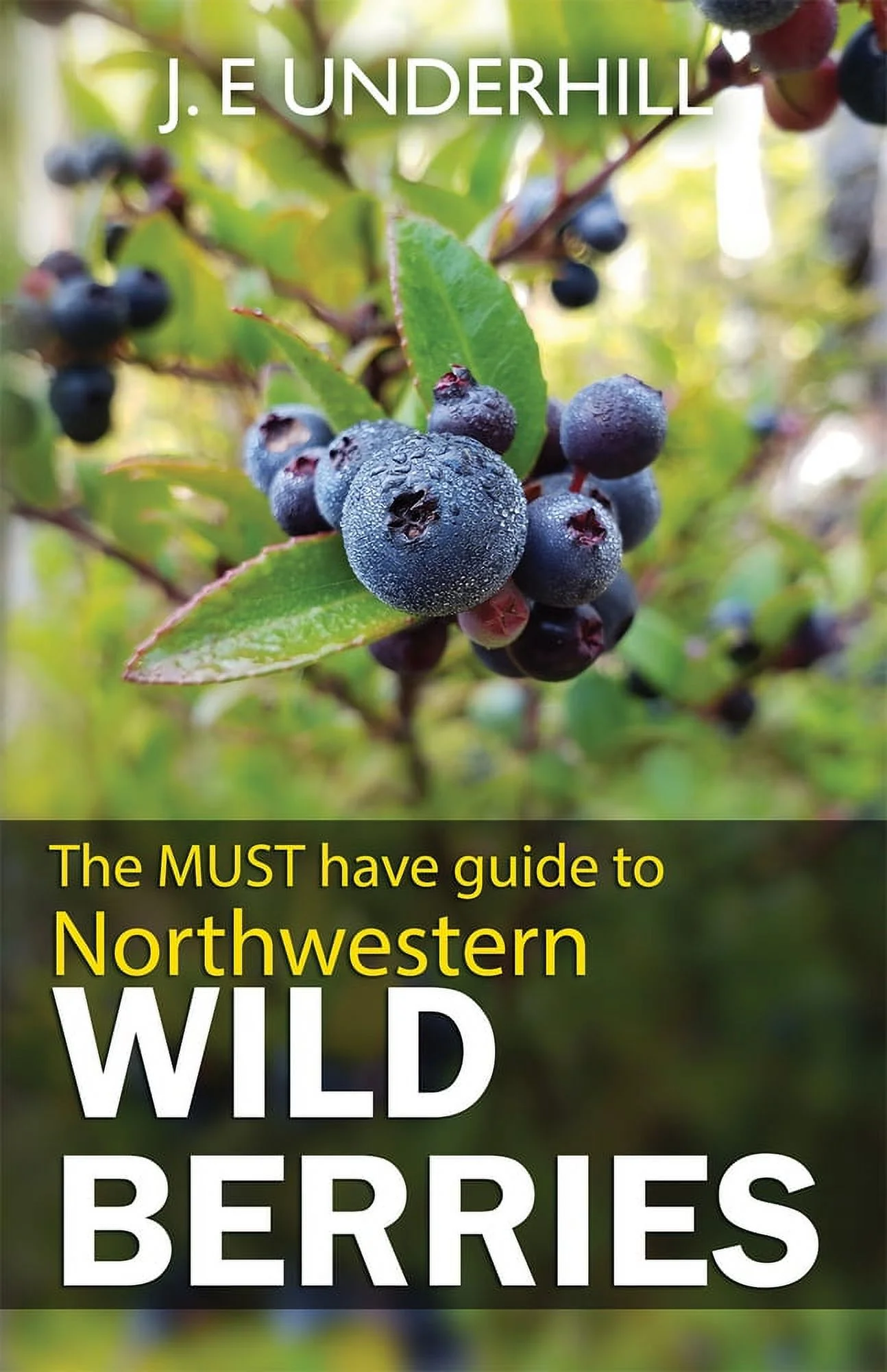 Pre-Owned Guide to Northwestern Wild Berries (Paperback) 0888390270 9780888390271